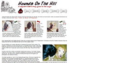 Desktop Screenshot of houndsonthehillllc.com